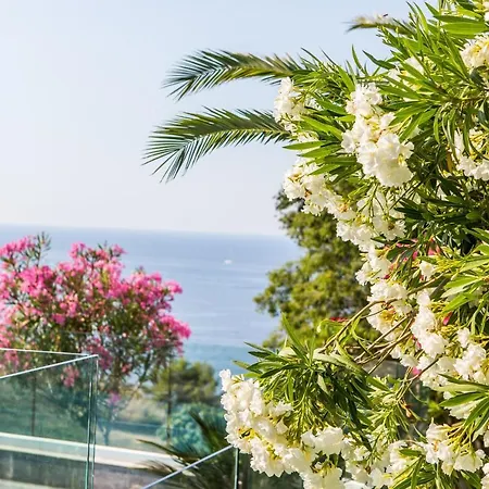 Otel R Calvi (Corsica)